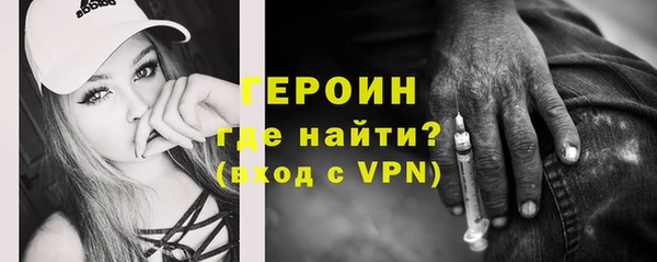 прущие грибы Магадан