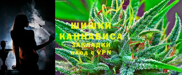 прущие грибы Магадан