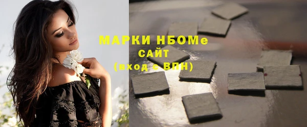 прущие грибы Магадан