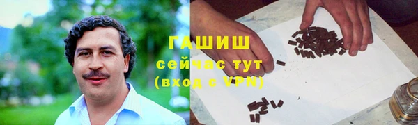 прущие грибы Магадан