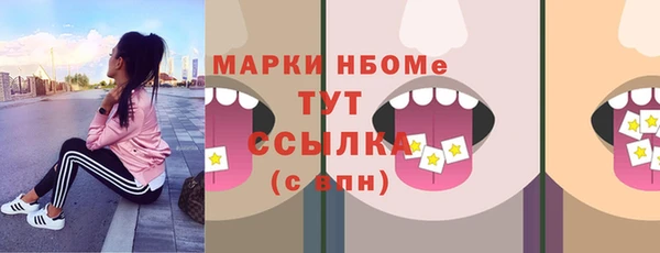 прущие грибы Магадан
