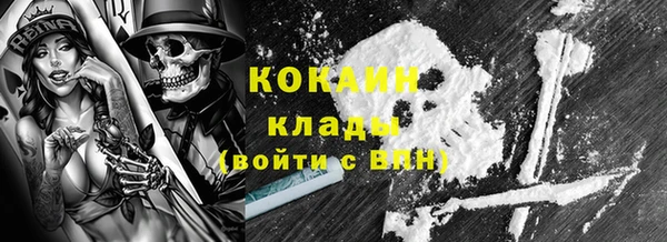 прущие грибы Магадан