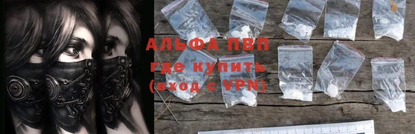 прущие грибы Магадан