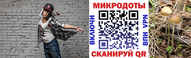 наркошоп  Саров  Псилоцибиновые грибы Psilocybine cubensis 
