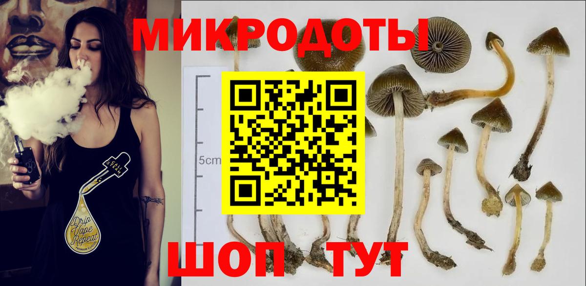 Саров  Галлюциногенные грибы Magic Shrooms  Вход с VPN  Галлюциногенные грибы GOLDEN TEACHER 